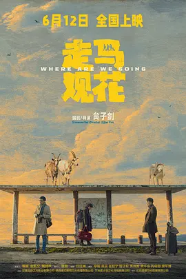 走马观花