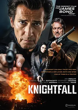 叛谍猎手