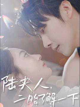 陆夫人，二胎了解一下(全集)